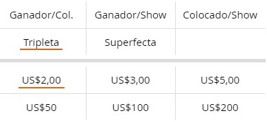 Ejemplo de mercados en Carreras de Caballos en Betsson