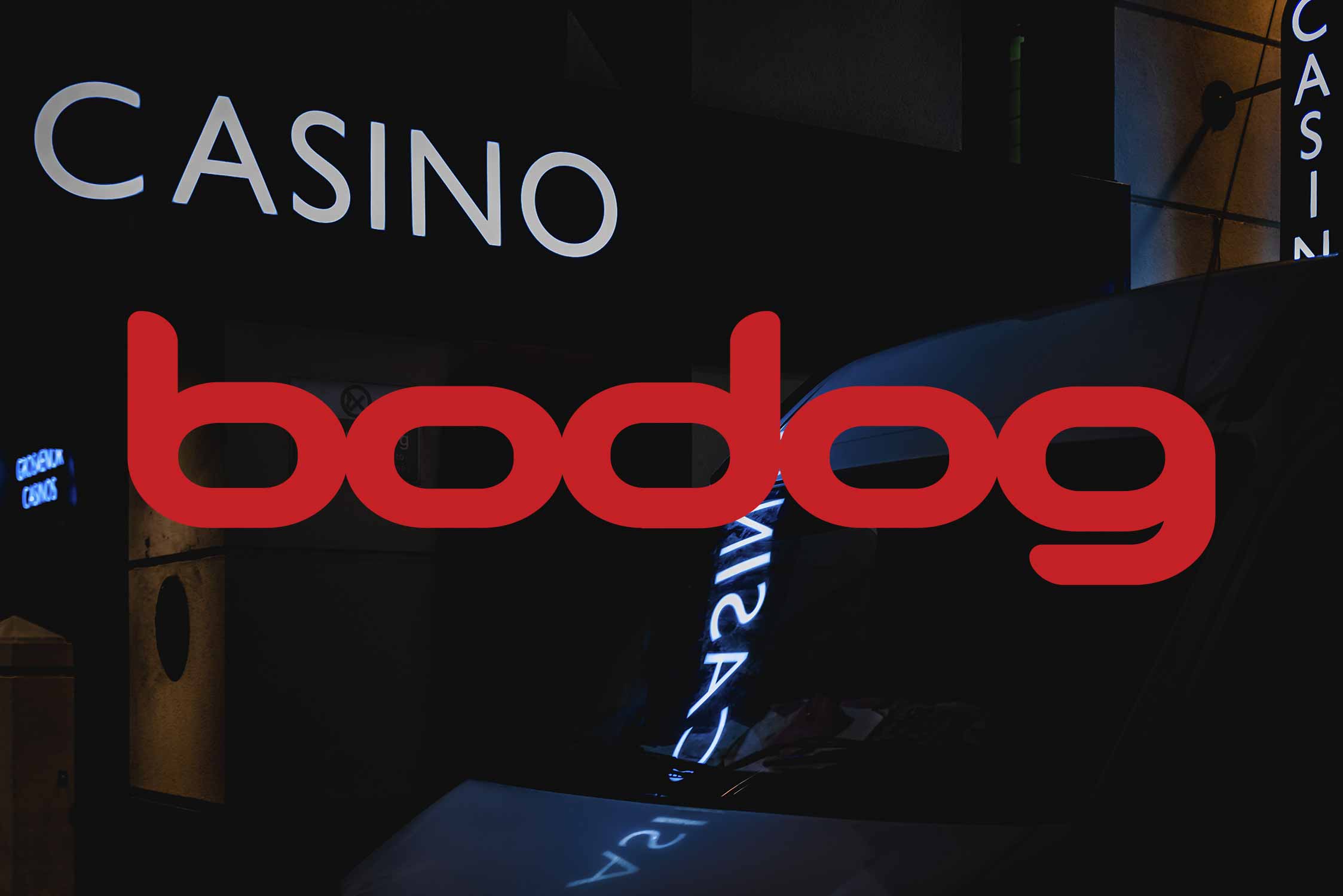 Bodog Casino: Juegos Exclusivos y Bono Hasta $500 USD En Chile | Reseña